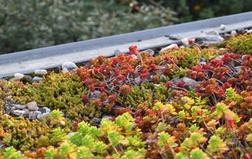 the cost of Catsham green roof installation