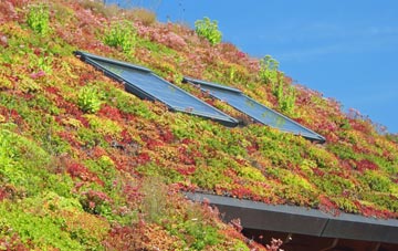 Catsham living roof systems