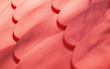 Catsham plastic roof costs