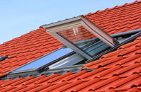 Catsham roof window