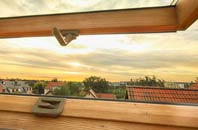 rated Catsham roof window companies